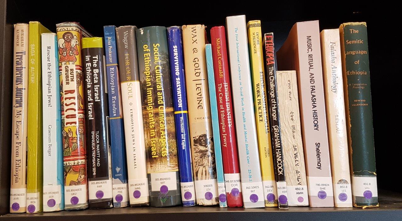 Photo of bookshelf with books on Ethiopia in English