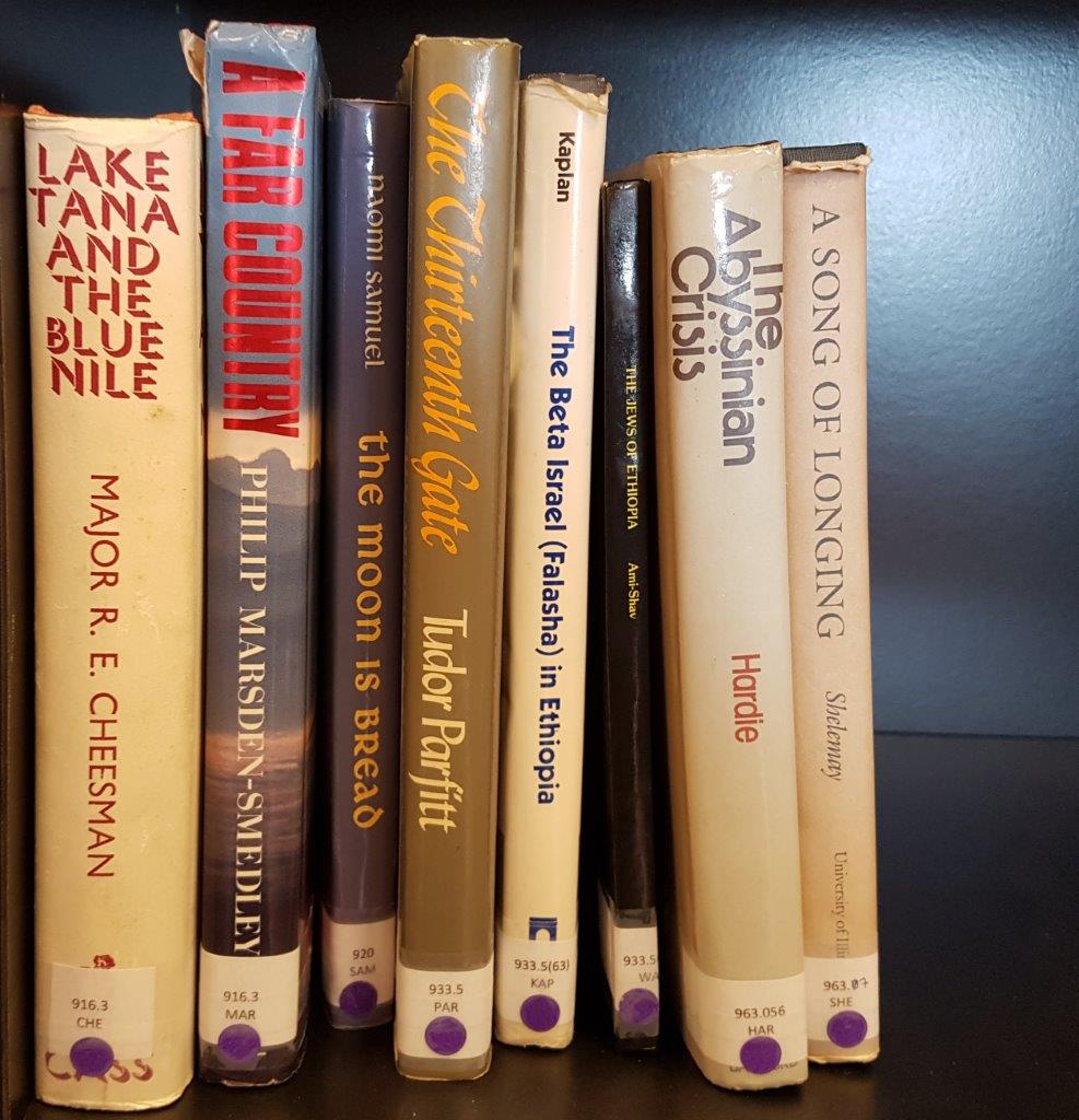 photo of another shelf of books in English 